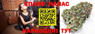 кокаин Будённовск